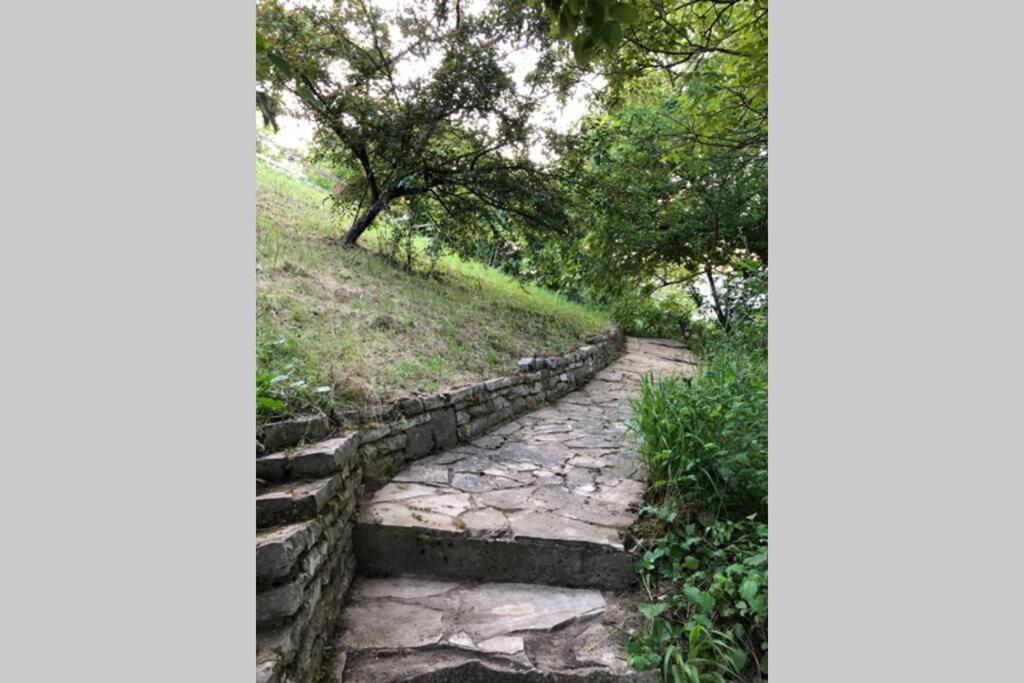 Villa Kornelija Stari Slankamen ภายนอก รูปภาพ