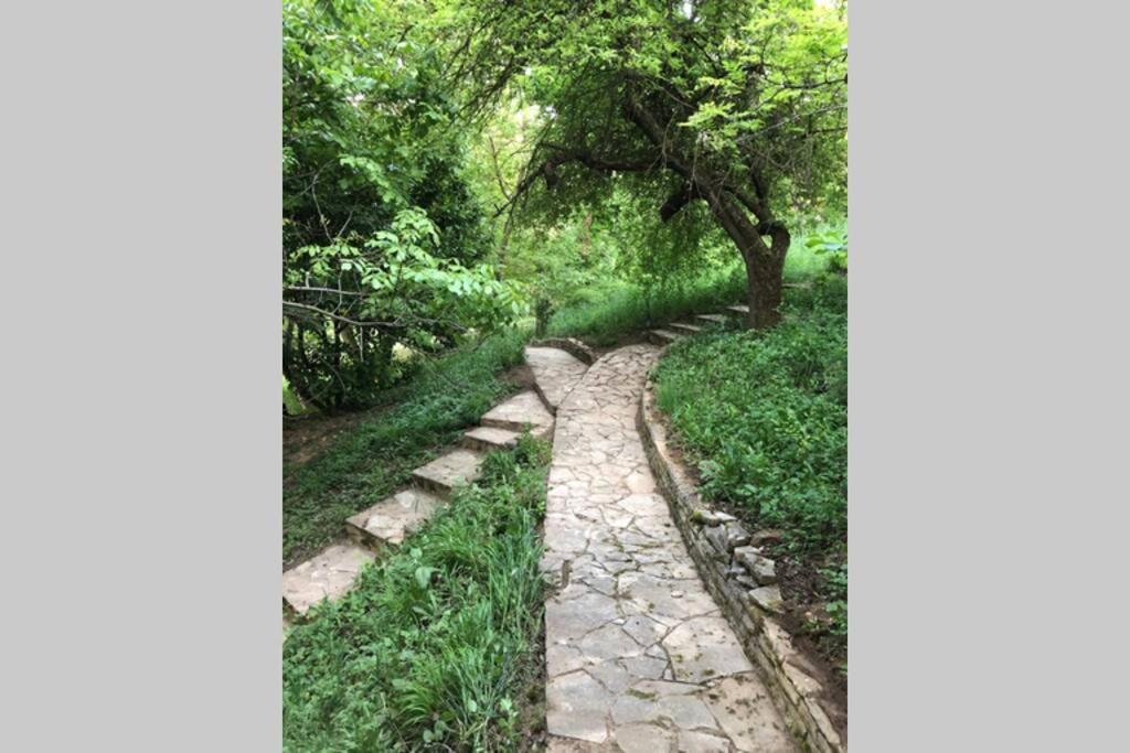 Villa Kornelija Stari Slankamen ภายนอก รูปภาพ