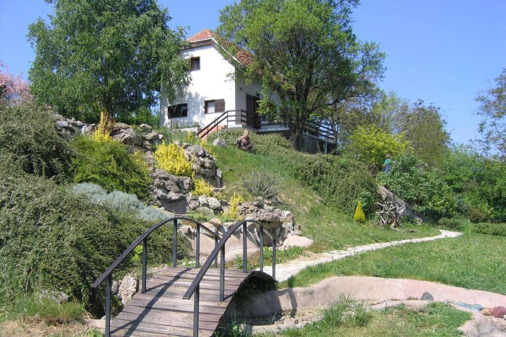 Villa Kornelija Stari Slankamen ภายนอก รูปภาพ