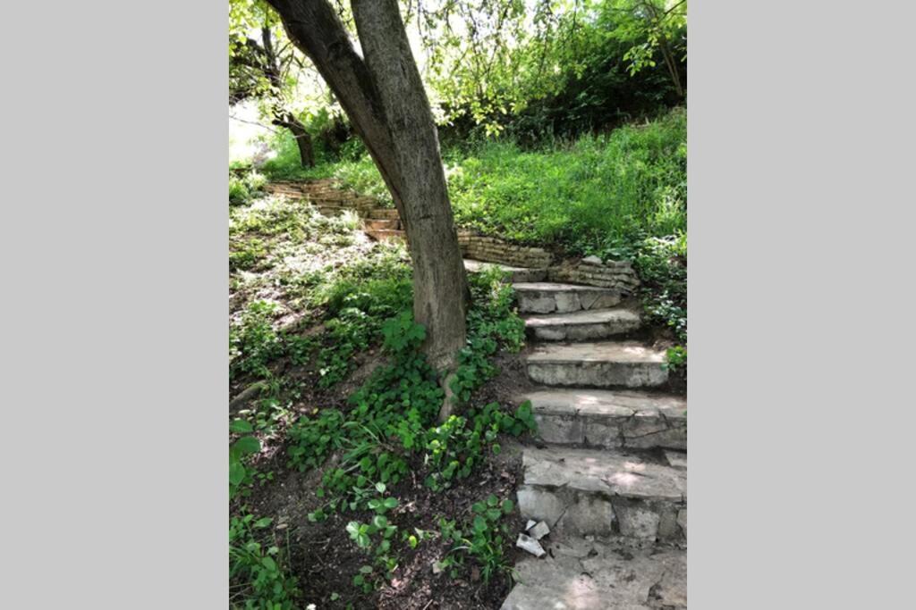 Villa Kornelija Stari Slankamen ภายนอก รูปภาพ