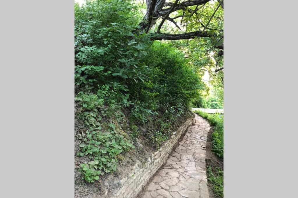 Villa Kornelija Stari Slankamen ภายนอก รูปภาพ