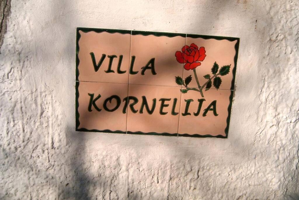 Villa Kornelija Stari Slankamen ภายนอก รูปภาพ