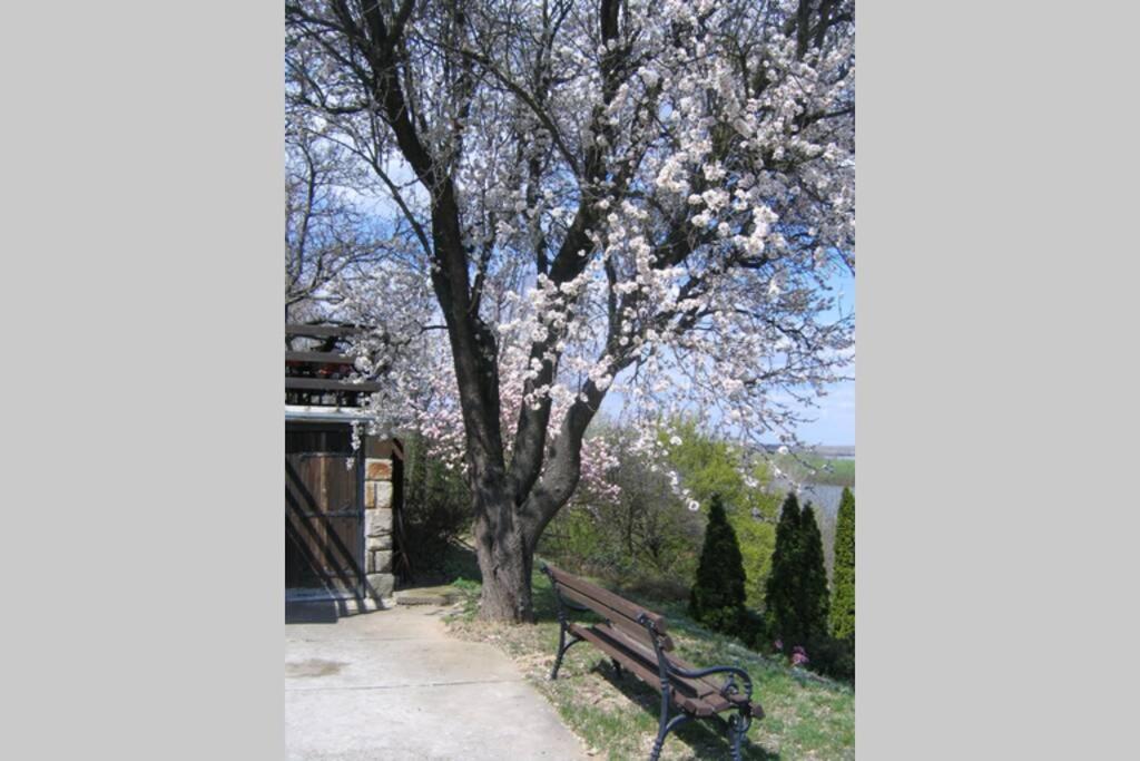 Villa Kornelija Stari Slankamen ภายนอก รูปภาพ